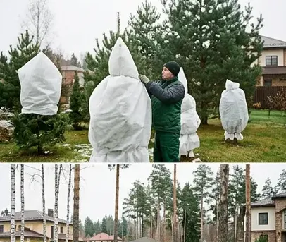 Как вывести пырей и сныть