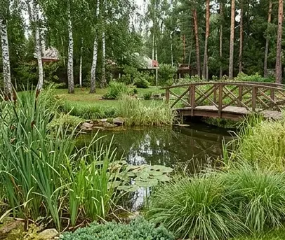Бетонный пруд или плёнка